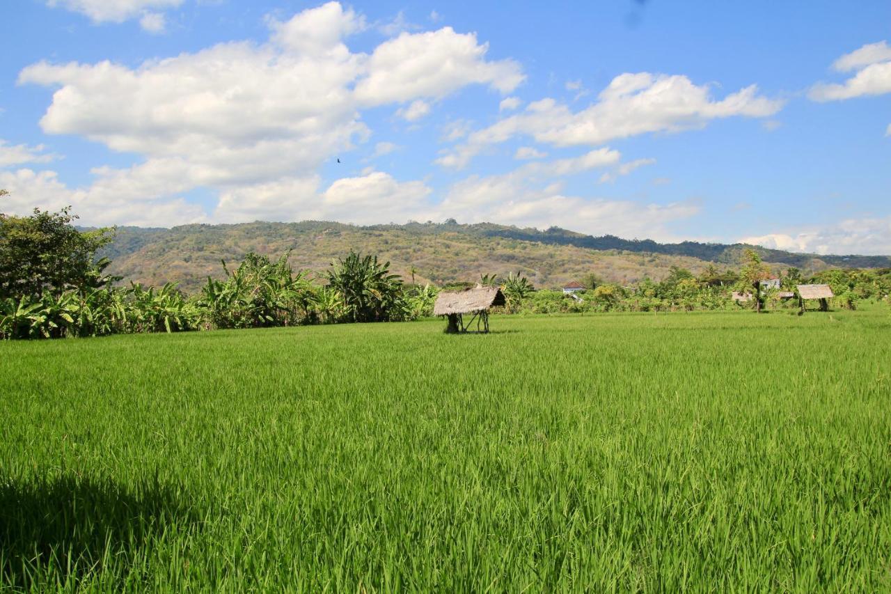 Villa Surgawi โลวินา ภายนอก รูปภาพ